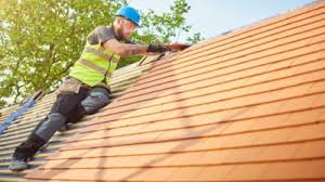 Best Roof Maintenance and Cleaning  in Tysons, VA