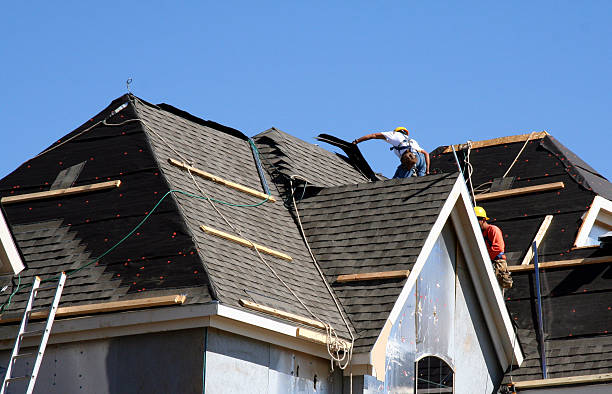 Best Solar Panel Roofing Installation  in Tysons, VA